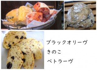 チャバッタ３種